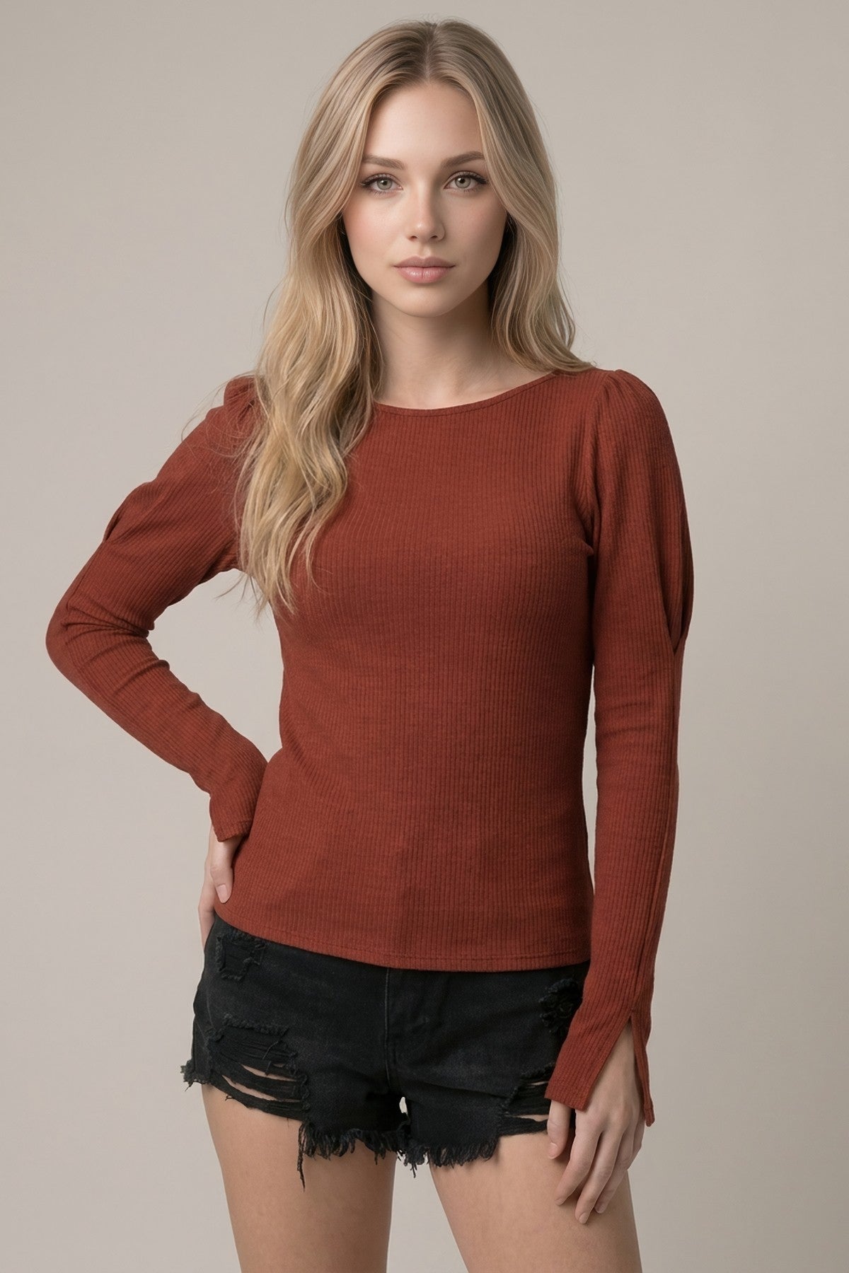 Brick Puff Long Sleeve Boat Neck Top