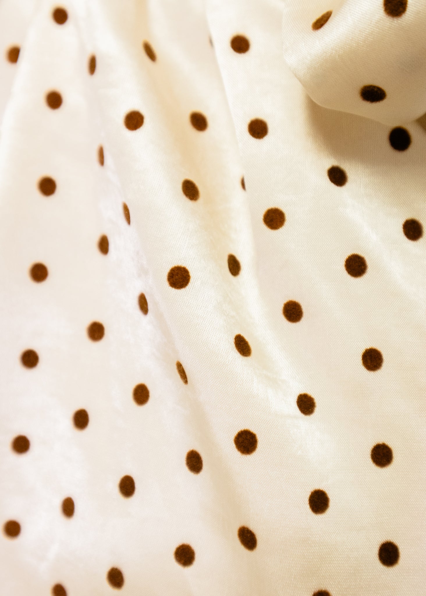 Cream & Brown Polka Dot Top