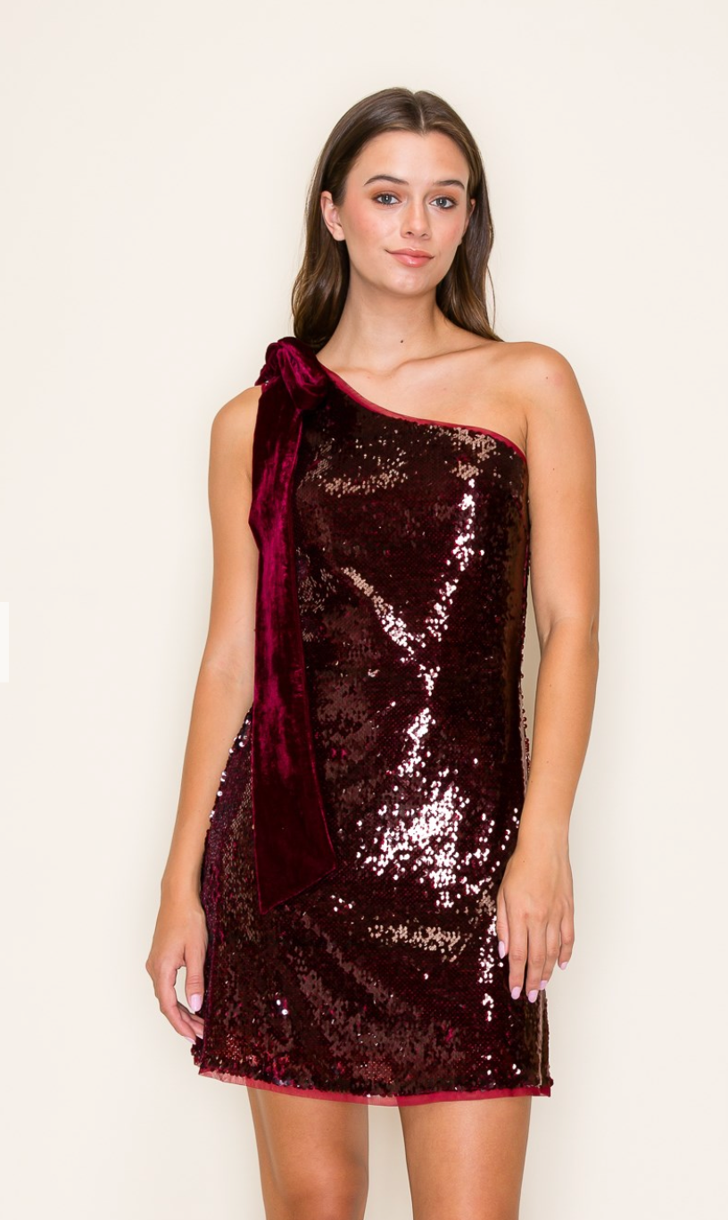 Burgundy Sequin Velvet Bow Dress