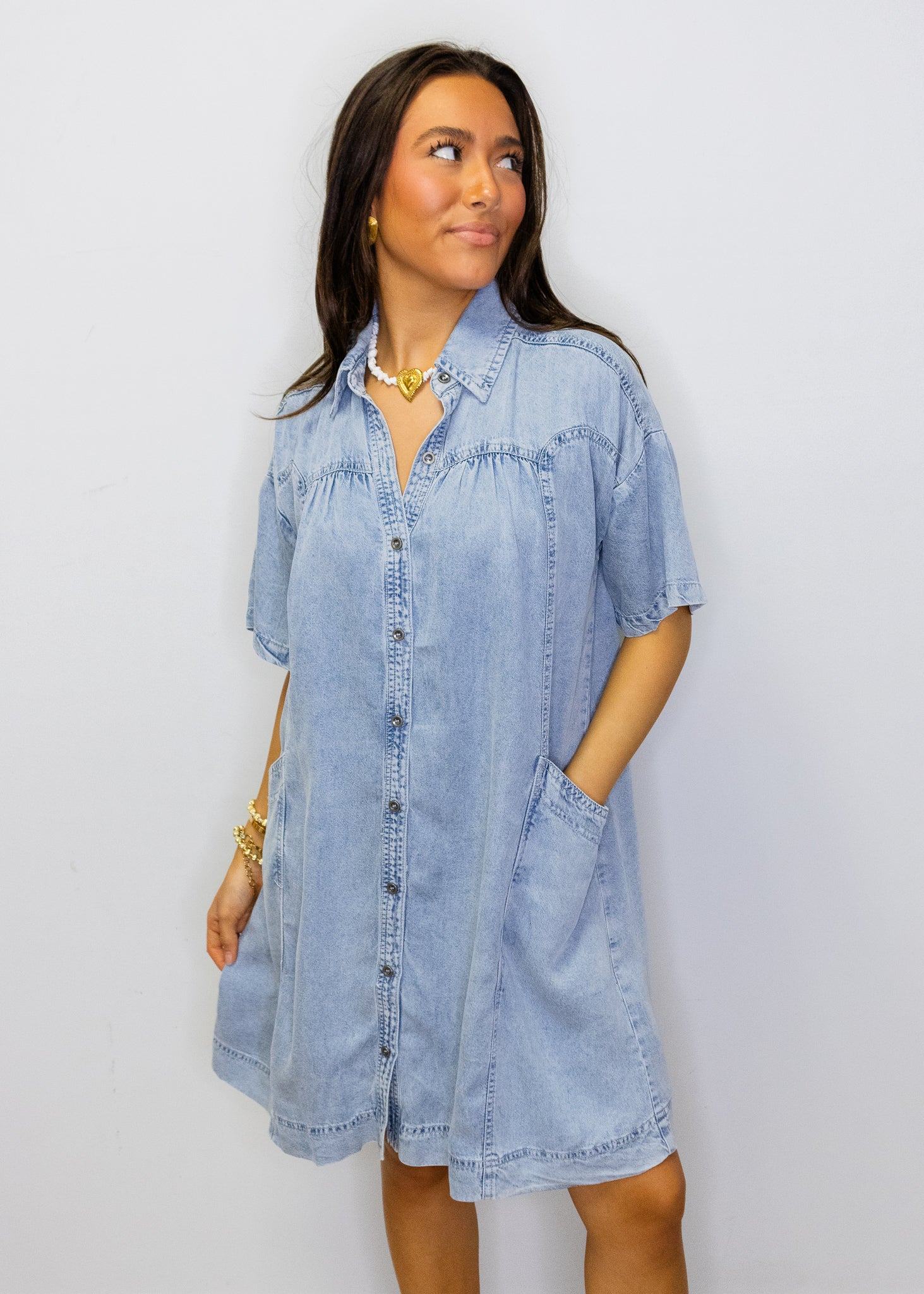 Denim Button-Up Pocket Dress