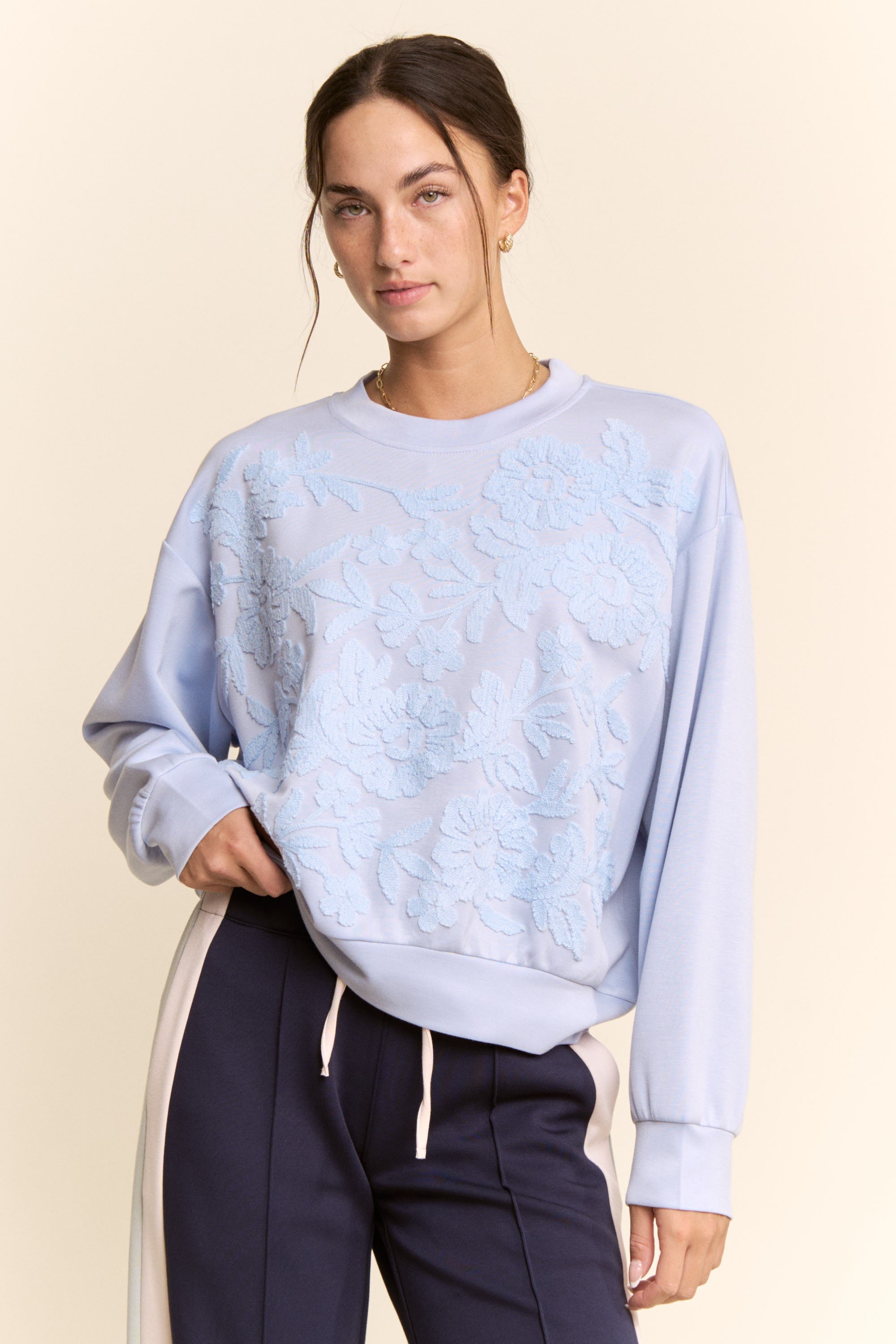 Light Blue Floral Front Embroidery Sweatshirt