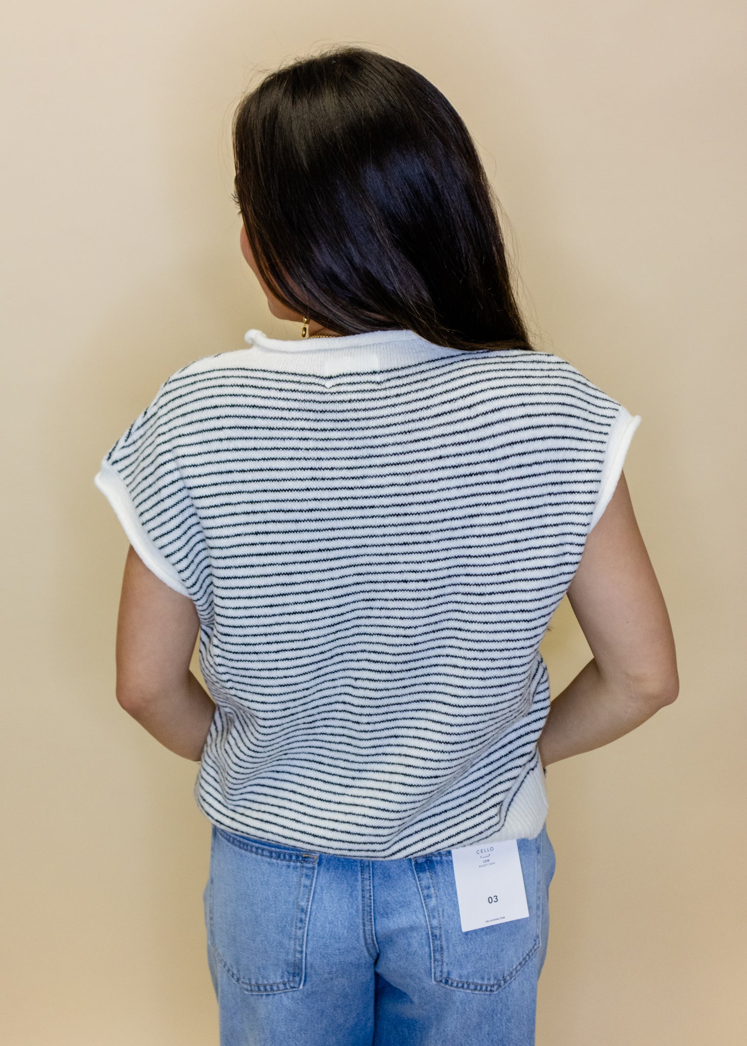 Black Stripe Sweater Vest