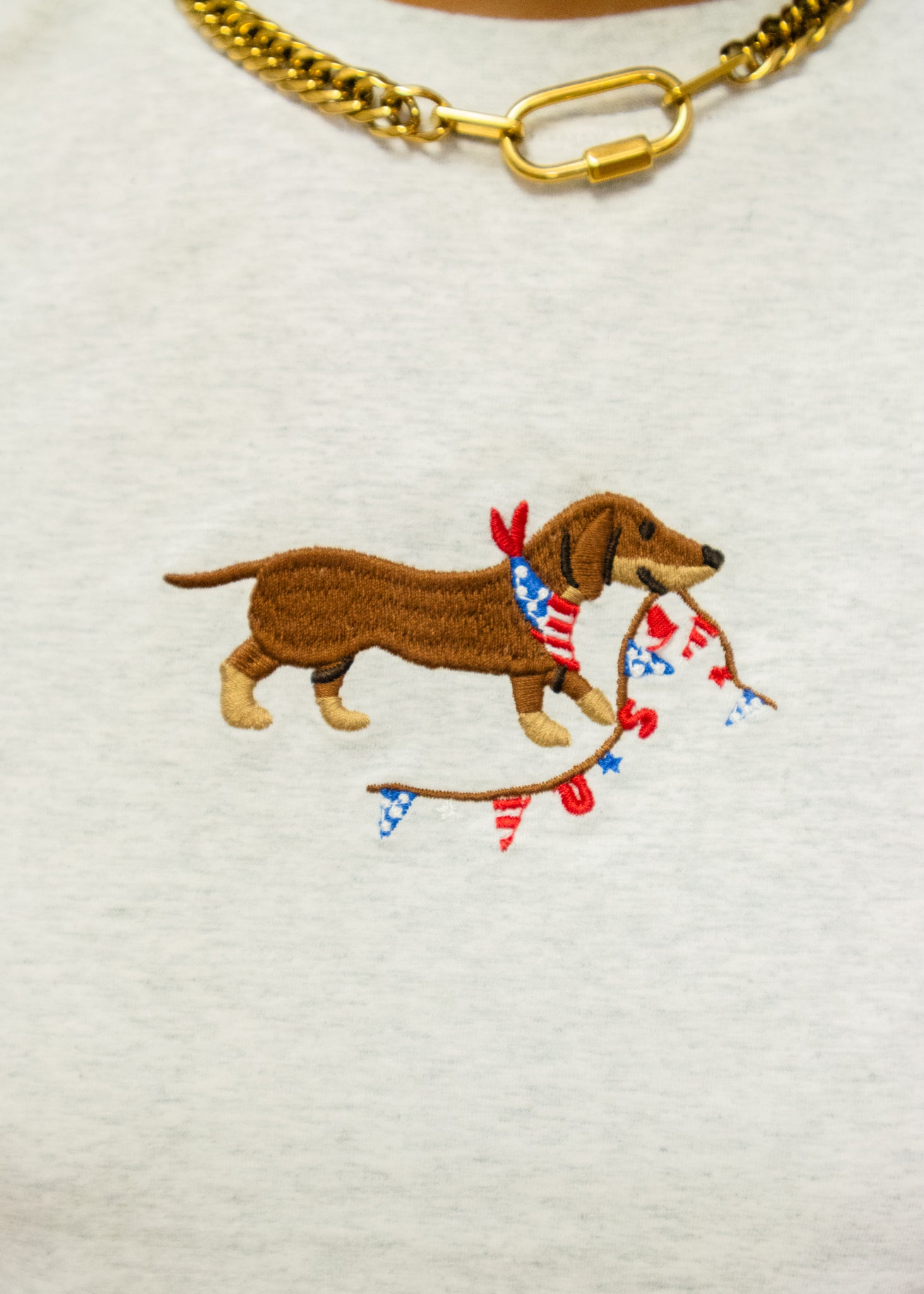 Patriotic Dog Embroidered Tee