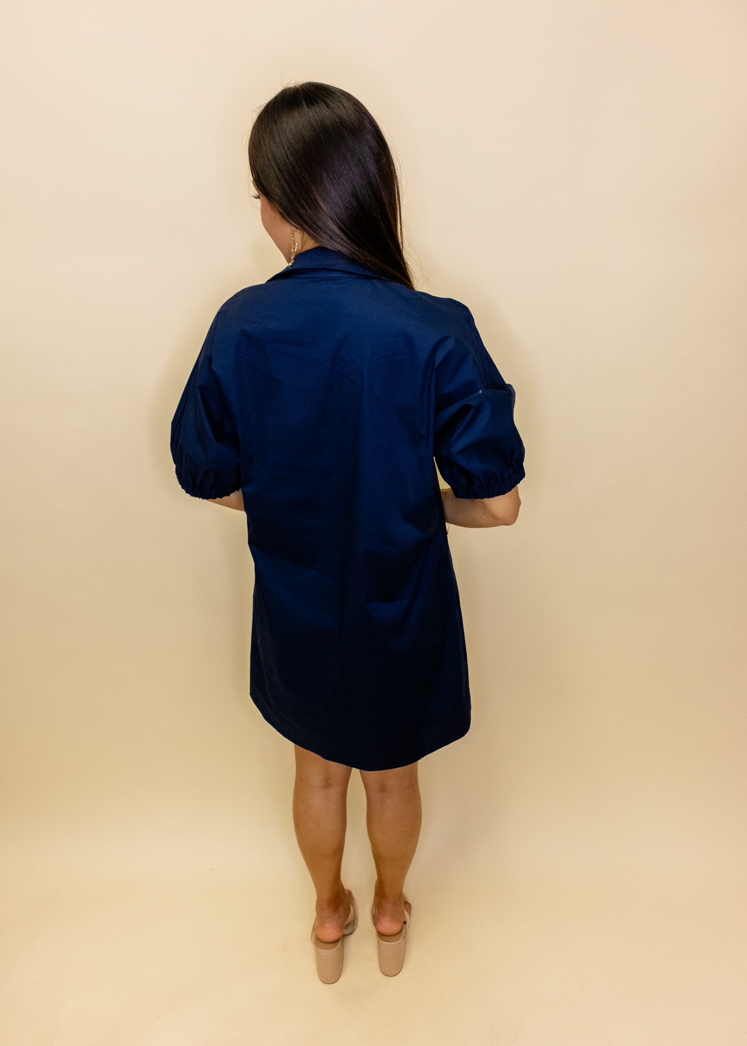 Charlotte Navy Collar Dress