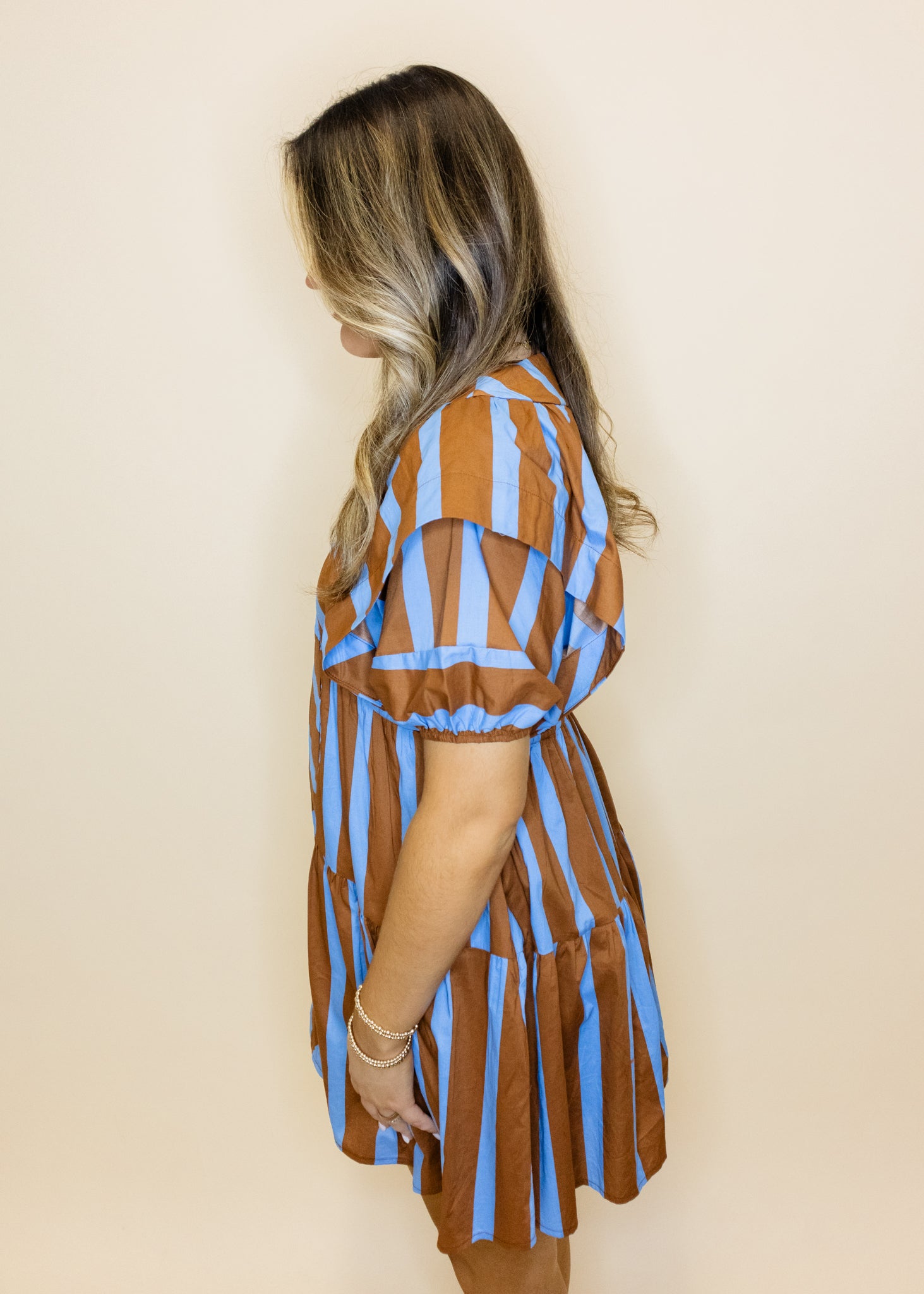 Brown & Blue Stripe Dress